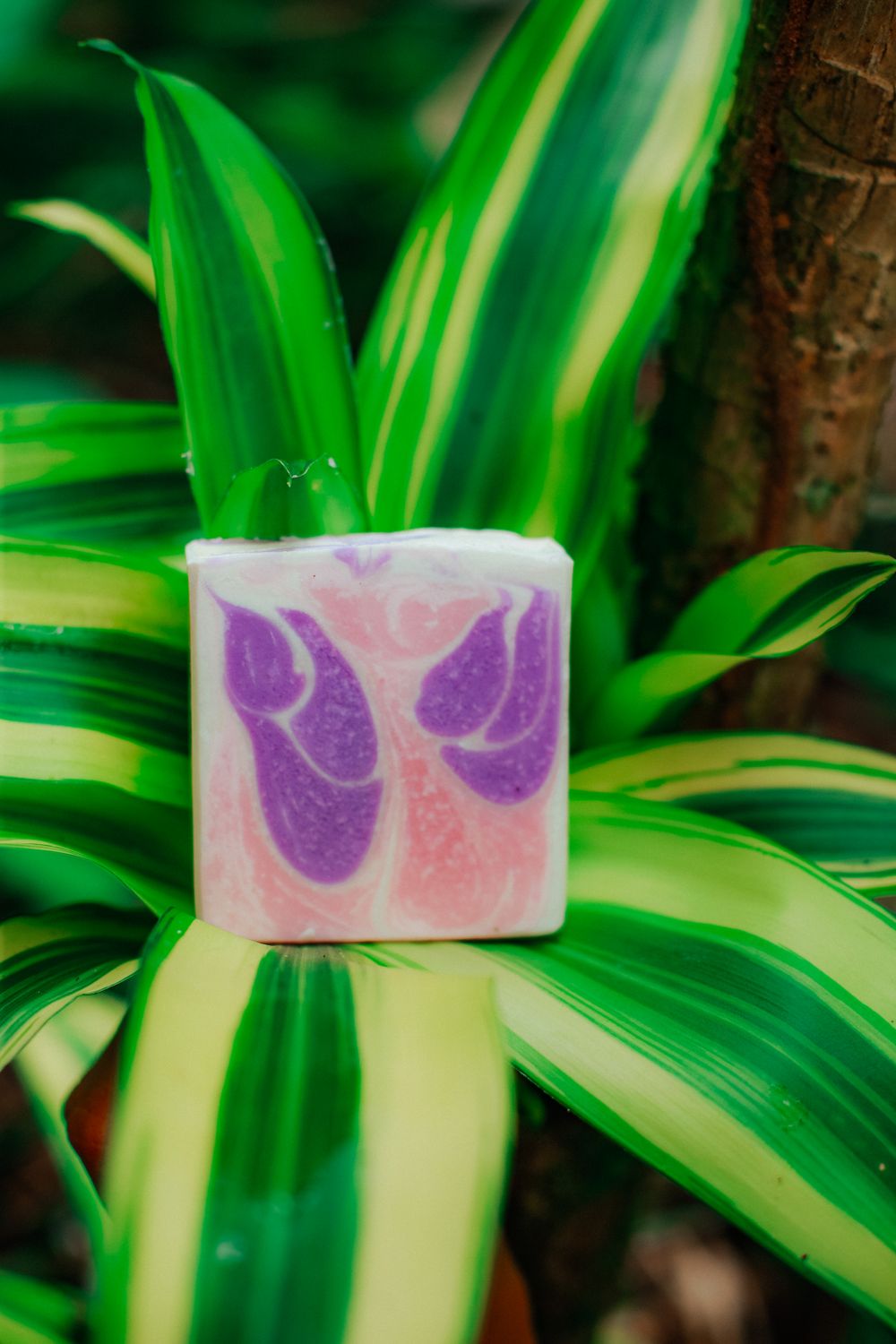 Handmade soap bars
